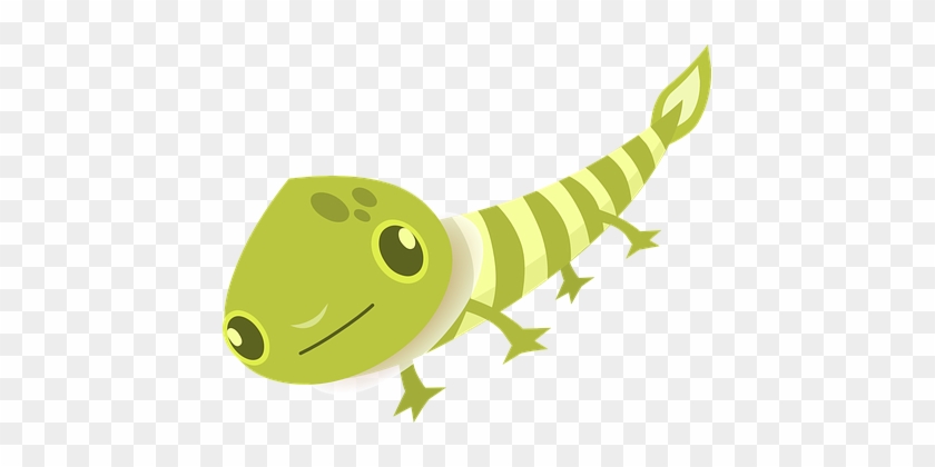 Animal, Head, Green, Feet, Striped, Tail - ลาย กราฟฟิก สี เขียว #776851