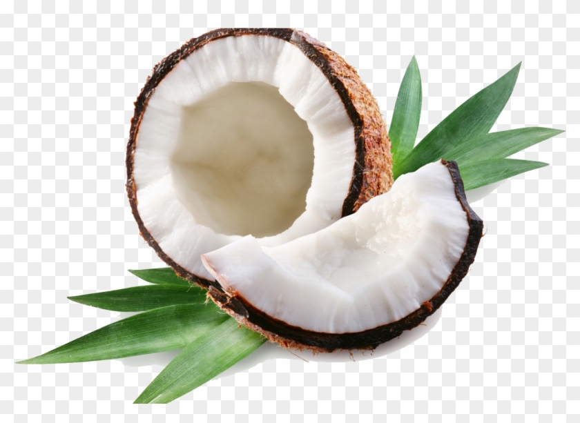 Coconut Clipart Transparent - Coconut Png #777614
