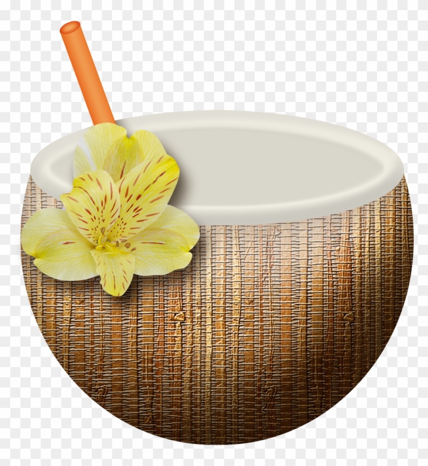 Hawaiian Aloha Tropical - Hypericum #777669