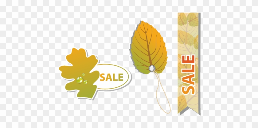 Maple Leaf Label Vector Promotions - Maple Leaf Label Vector Promotions #778213