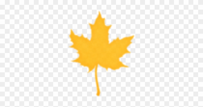 Maple Leaf #778215