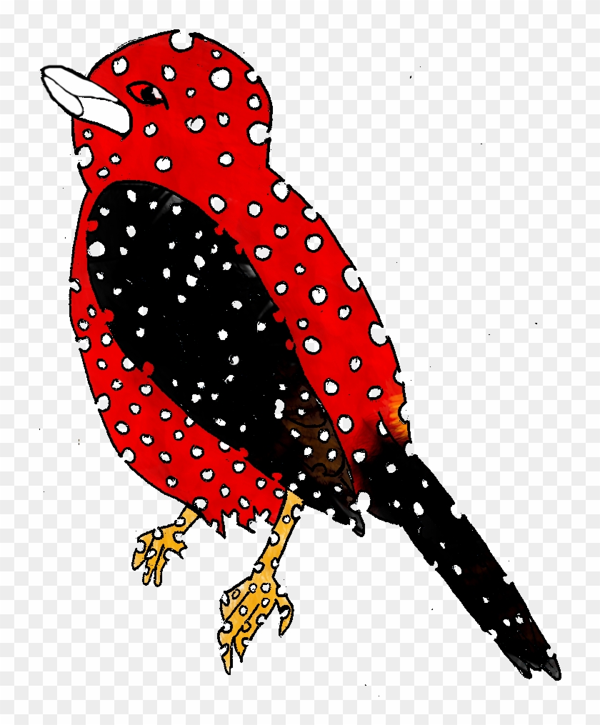 Wimbled Tanager - Flightless Bird #778274