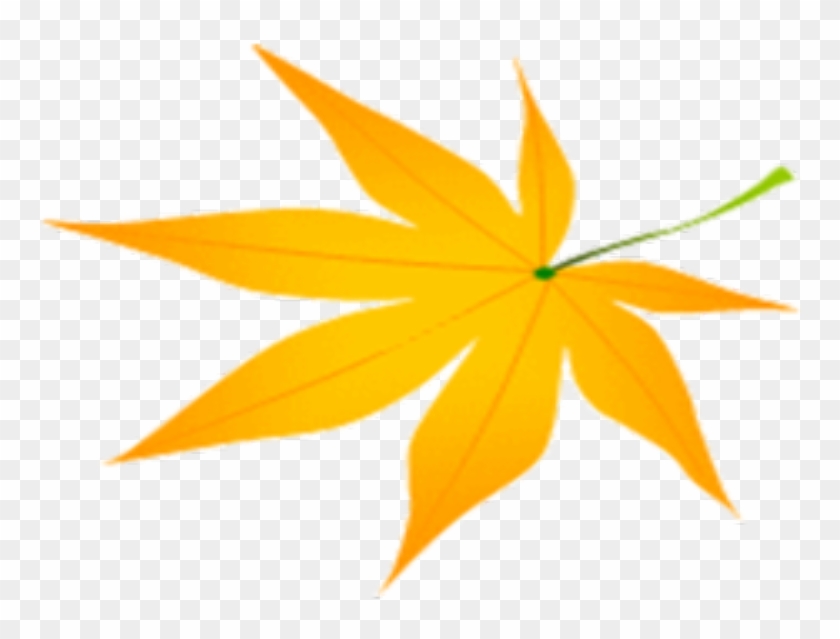 Autumn Maple Leaf - Autumn Maple Leaf #778332