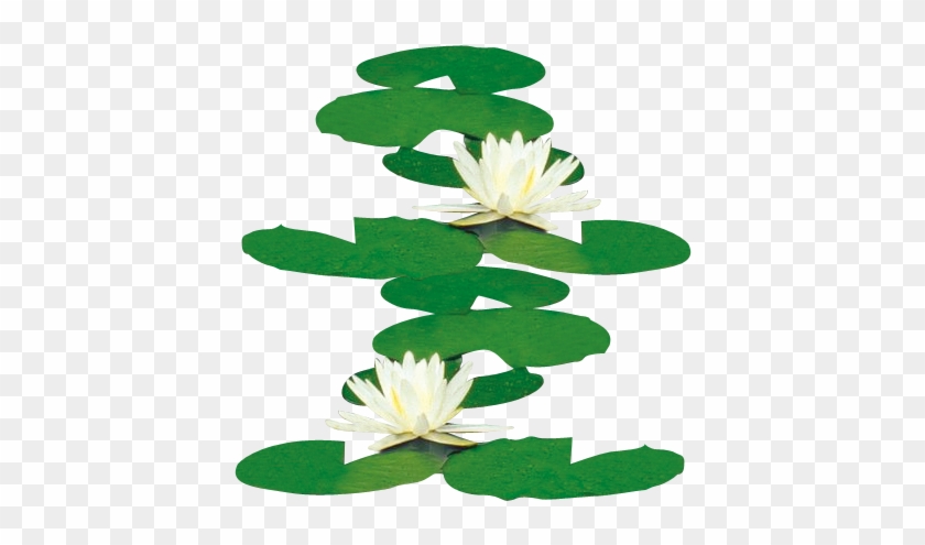 Nelumbo Nucifera Water Lilies Icon - Nelumbo Nucifera Water Lilies Icon #778367