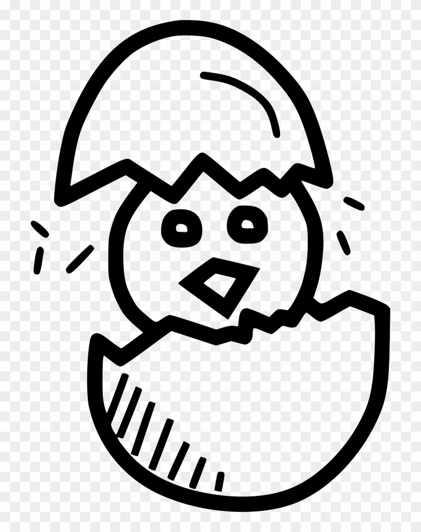 Chicken Chickling Hatch Cute Egg Comments - Chicken Chickling Hatch Cute Egg Comments #778371