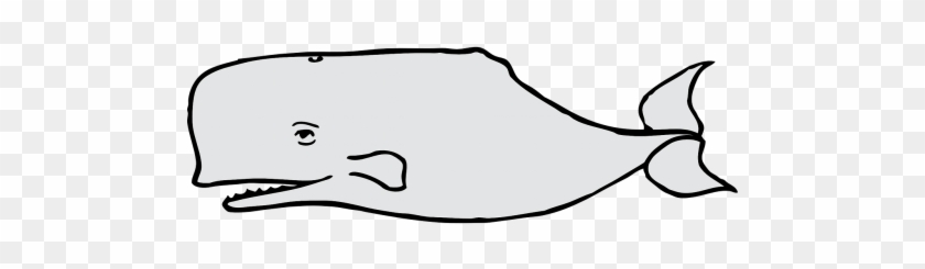 Cow - Dibujos De Ballena Gris #778461