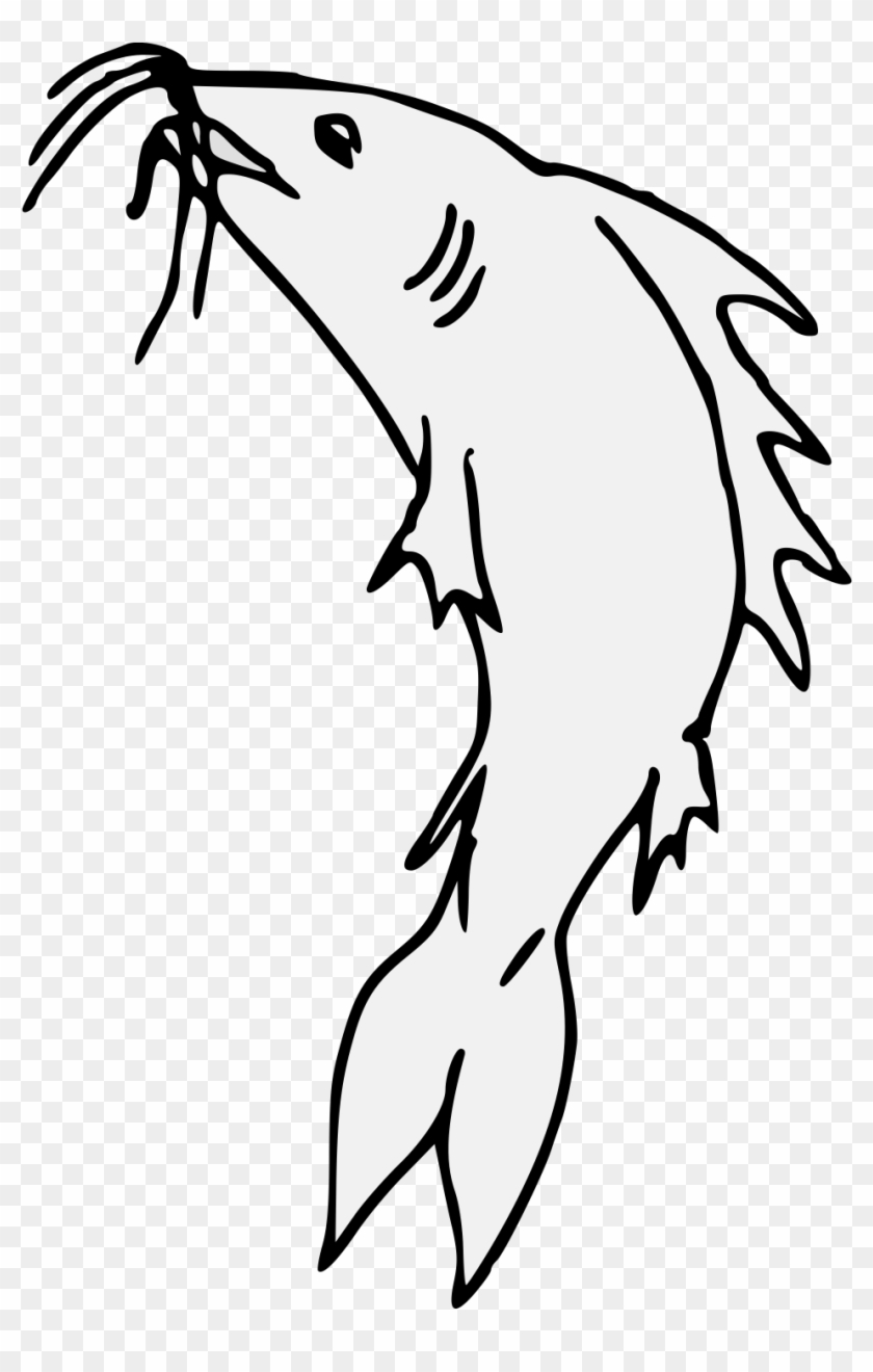 Catfish Haurient Embowed - Art #778604