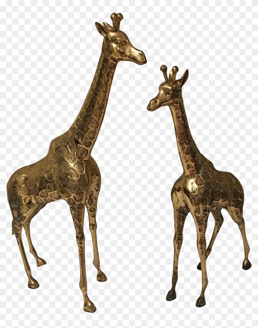 Giraffe #778749