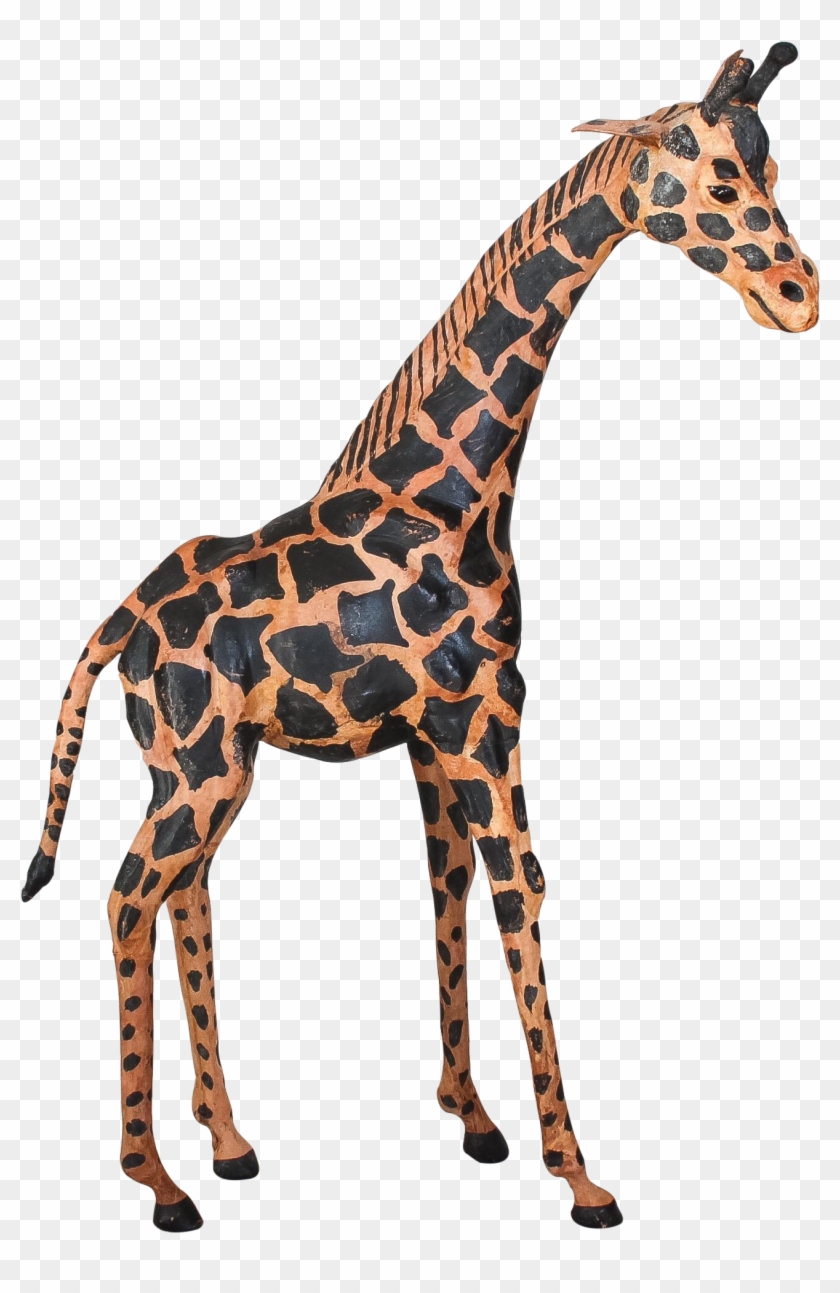 Giraffe #778779