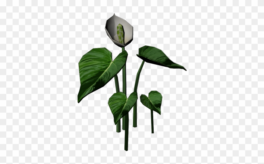 Image - Houseplant #778777
