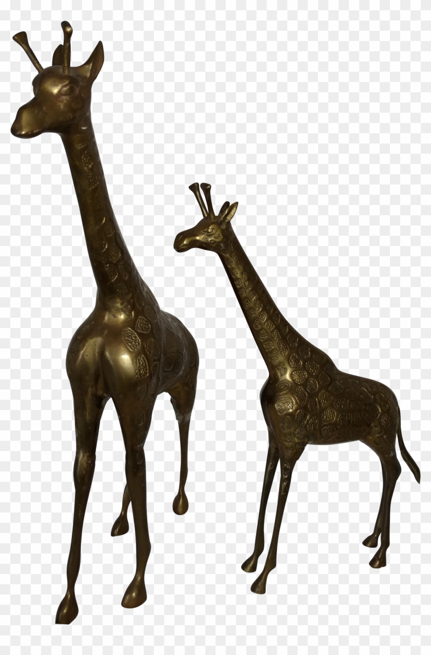 Giraffe #778925