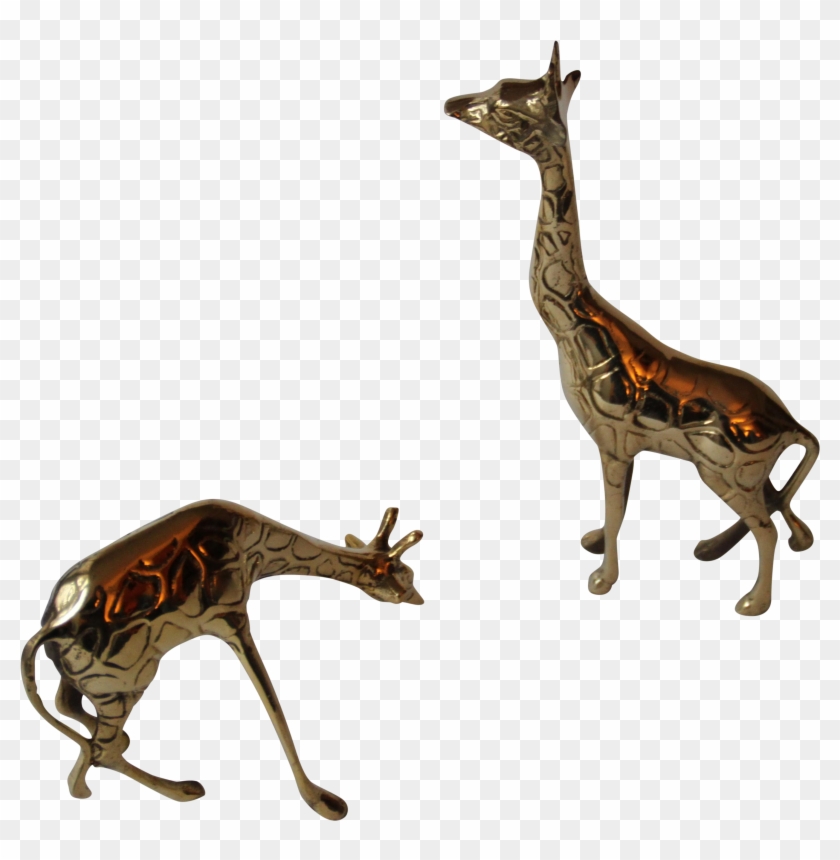 Giraffe #778933