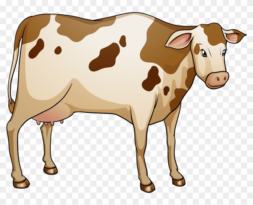 Lakenvelder Cattle Royalty Free Illustration - Lakenvelder Cattle Royalty Free Illustration #779482
