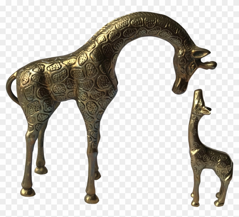 Giraffe #779931