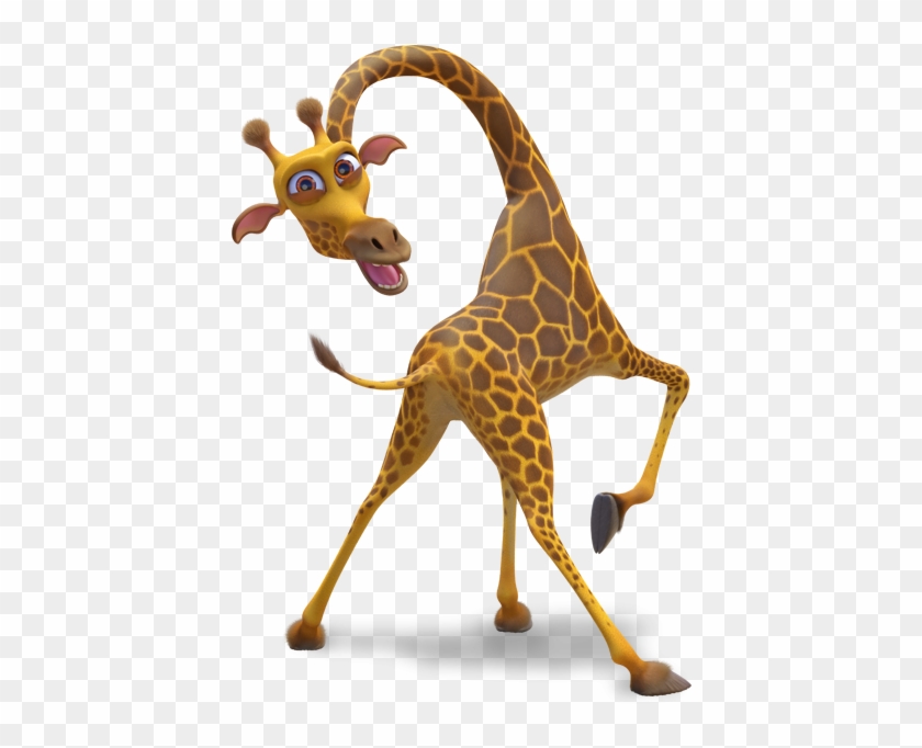 Giraffe - Giraffids #779998