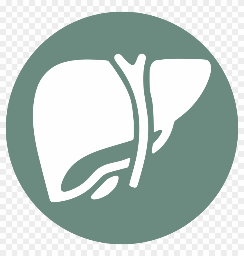 Hepatology - New York Times App Icon #780164