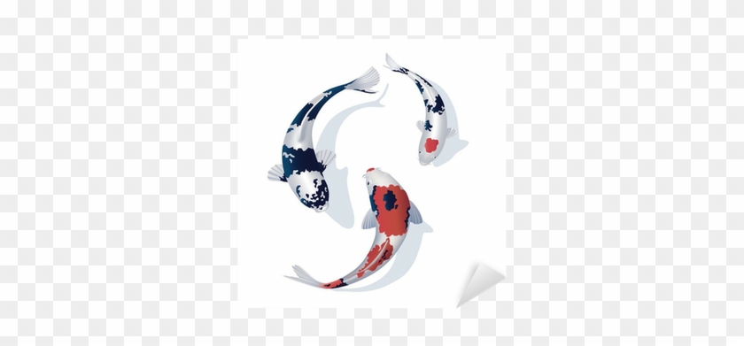 Koi #782471