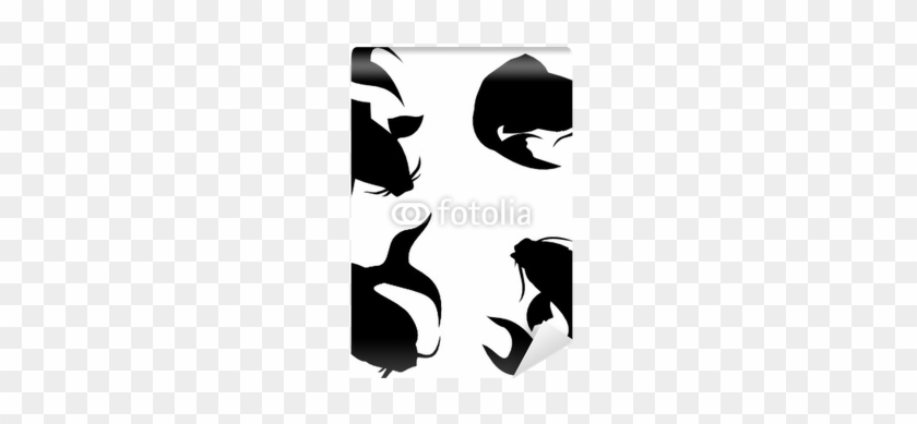 Koi Carp Silhouette Wall Mural Pixers We Live To Change - Carp Silhouette #782679