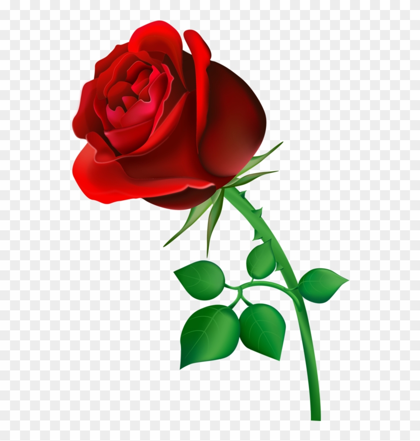 Natali На - Happy Rose Day Shayari #782830
