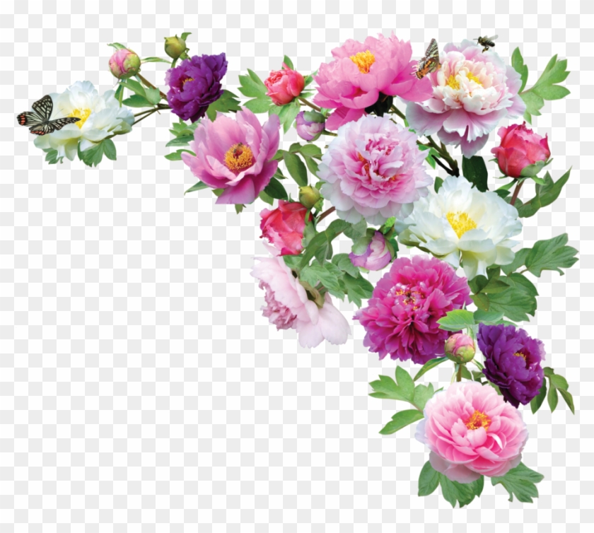 Peoniespng By Kmygraphic - Png Vintaze #783383