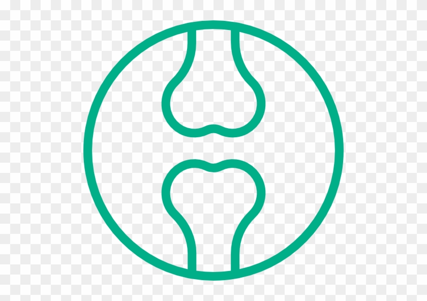 Bone, Joint & Muscle Care - Scalable Vector Graphics #783503