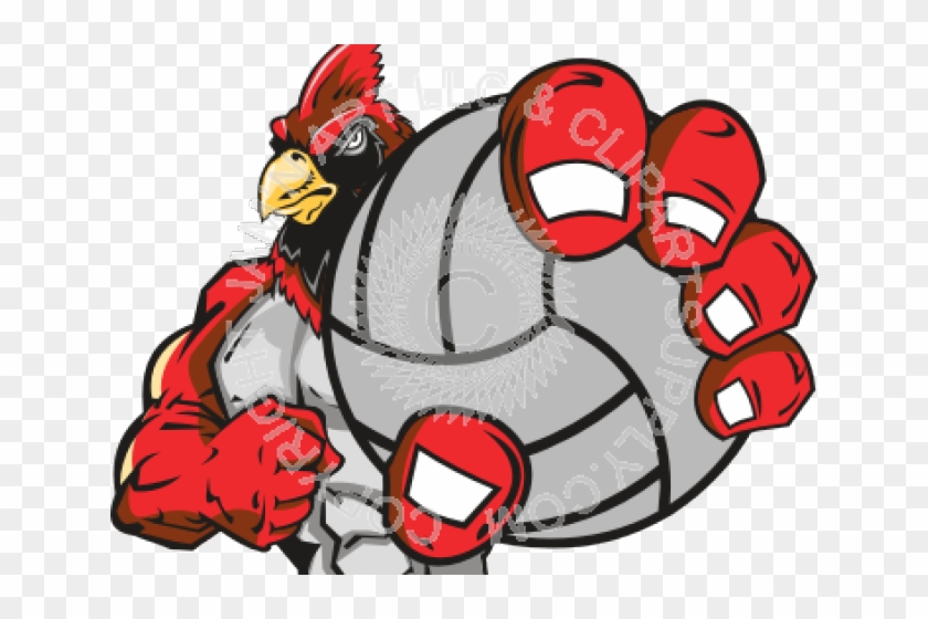 Cardinal Clipart Volleyball - Wtvb #783526