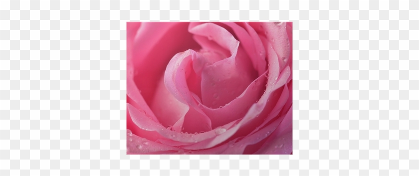 Photography #783632