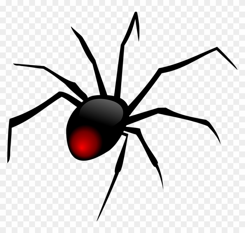 Cartoon Spiders #784351