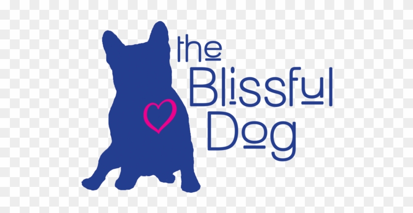 What's Your Secret Show Dog Name Use Our Name Generator - Theblissfuldog American Eskimo Original Nose Butter #784599
