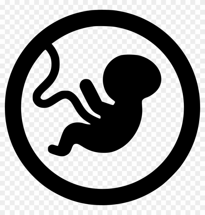 Embryo Comments - Scalable Vector Graphics #784781