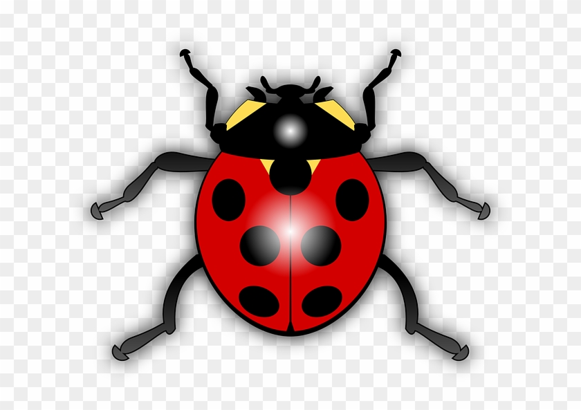 Dots Ladybug, Ladybird, Animal, Bug, Flying, Insect, - Ladybird Clipart #786016