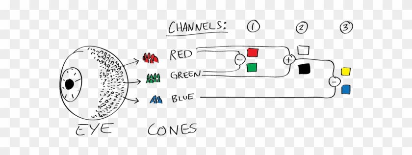 From The Calculations Made In The Brain Along Those - Opponent Process Theory Colour #786821