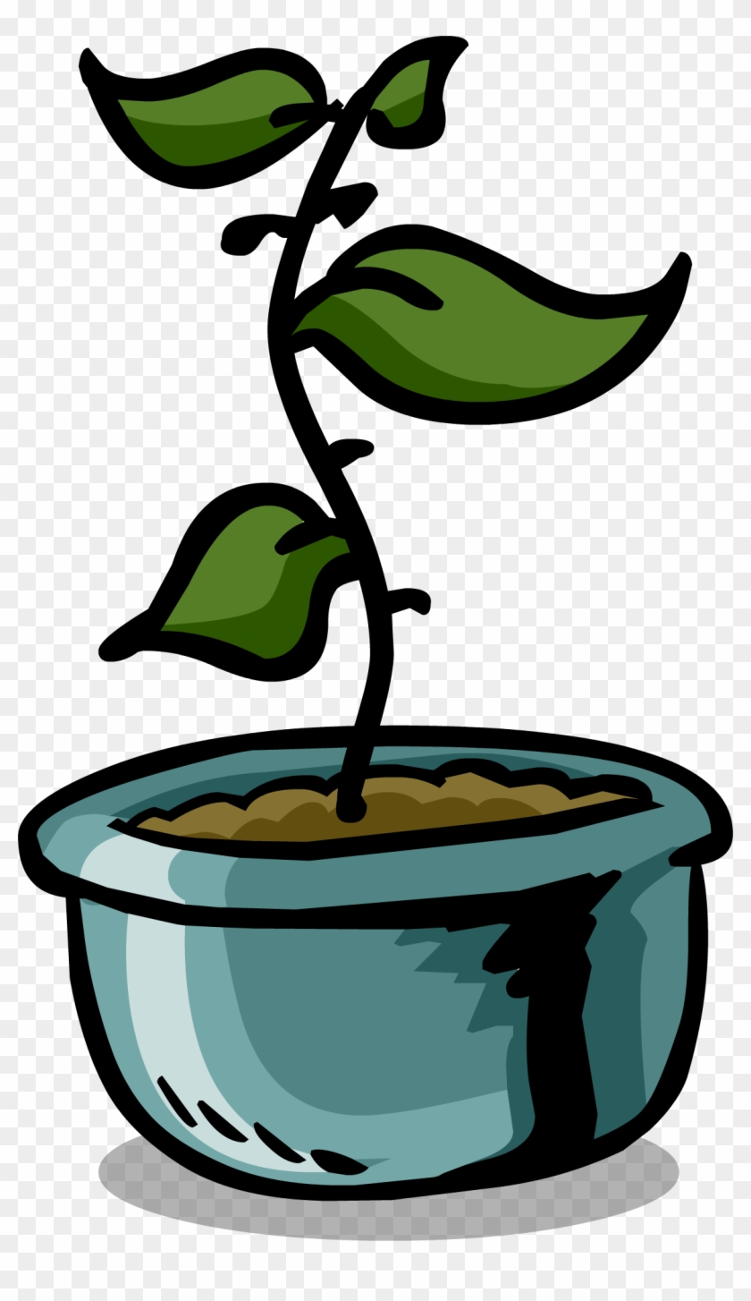 Rare Flower Pot - Club Penguin Furniture Plants #789052
