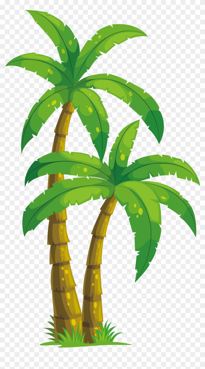 Arecaceae Coconut Tree Illustration - Animated Palm Tree Png #789729