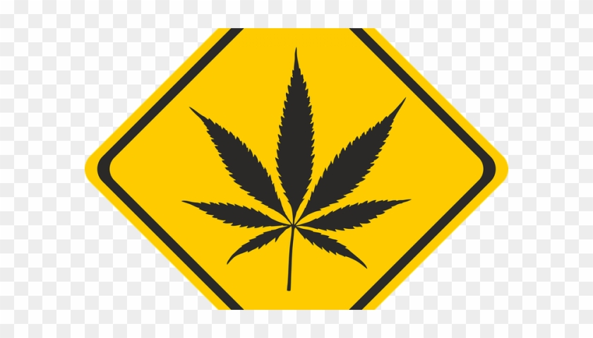 Responsible Recreational Marijuana Use In Nevada - Pot Leaf #790146