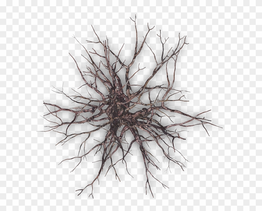 Abe Hugedeadtree - Zip - Winter Tree Png Plan #790249