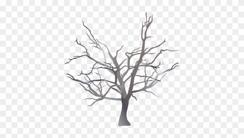 Ian Symbol Melaleuca Cuticularis - شجرة بدون اوراق تلوين #790267