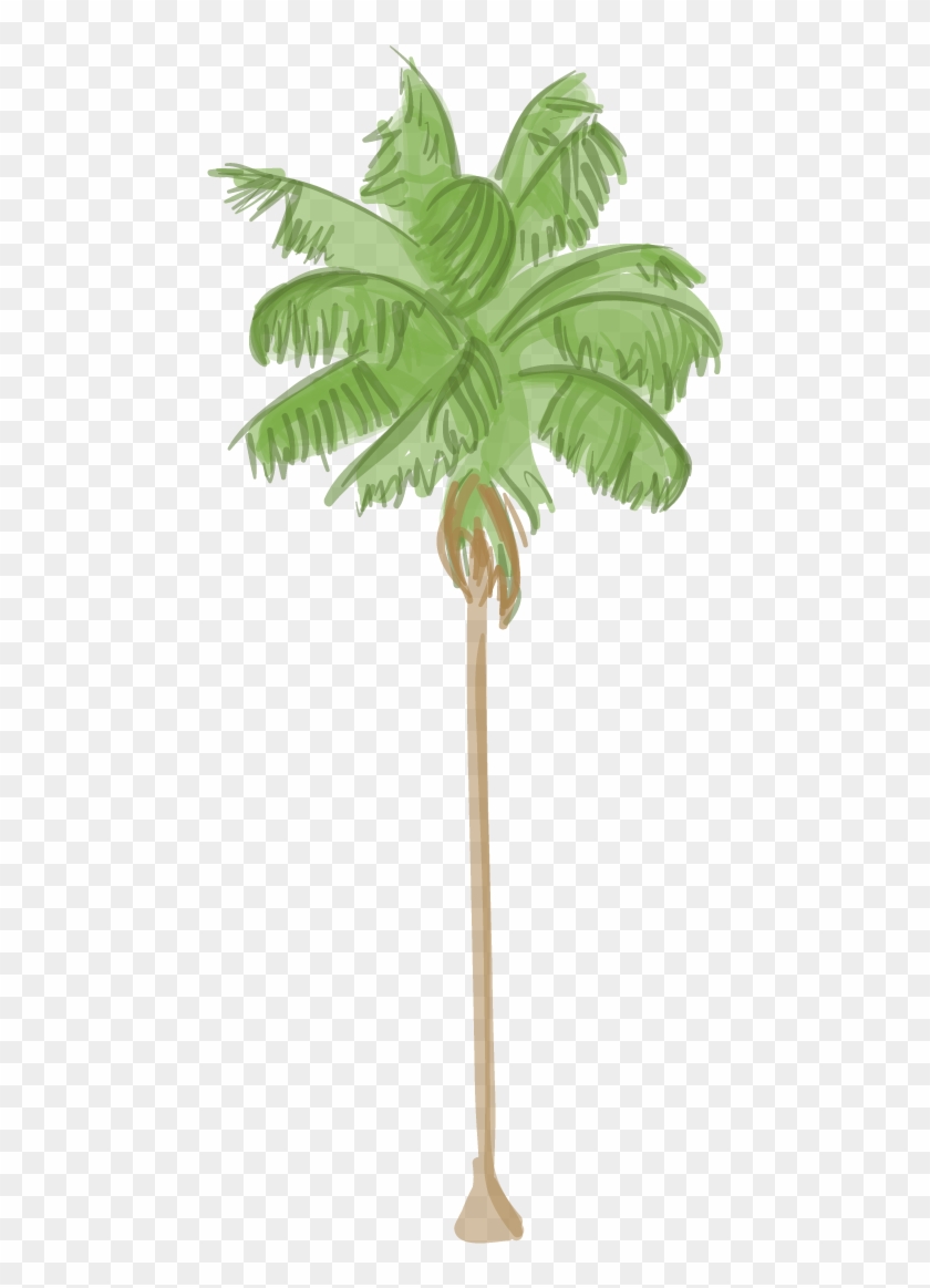 L A S Palm Trees Are Dying And It S Changing The City - Palm Tree #790749