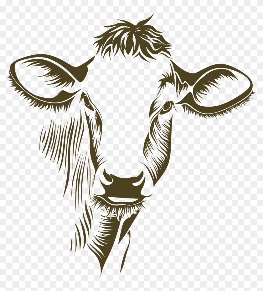 Cow / Id - Write Here Notebooks: Cow Notebook / Journal 100 Pages #791116
