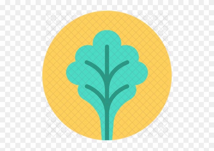 Spinach Icon - Icon #791453
