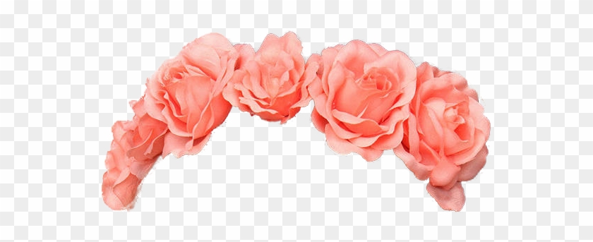 Crown Of Flowers Png Image - Pink Flower Crown Jpg #791572