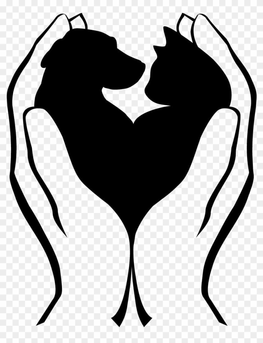 Dog The Humane Society Of The United States Animal - Dog The Humane Society Of The United States Animal #791981
