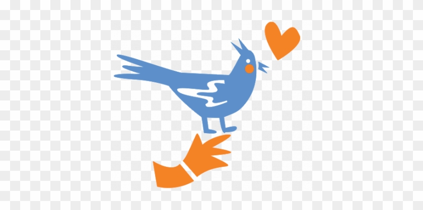 We've Got Lots Of Adoptable Birds Who Are Ready To - We've Got Lots Of Adoptable Birds Who Are Ready To #792006