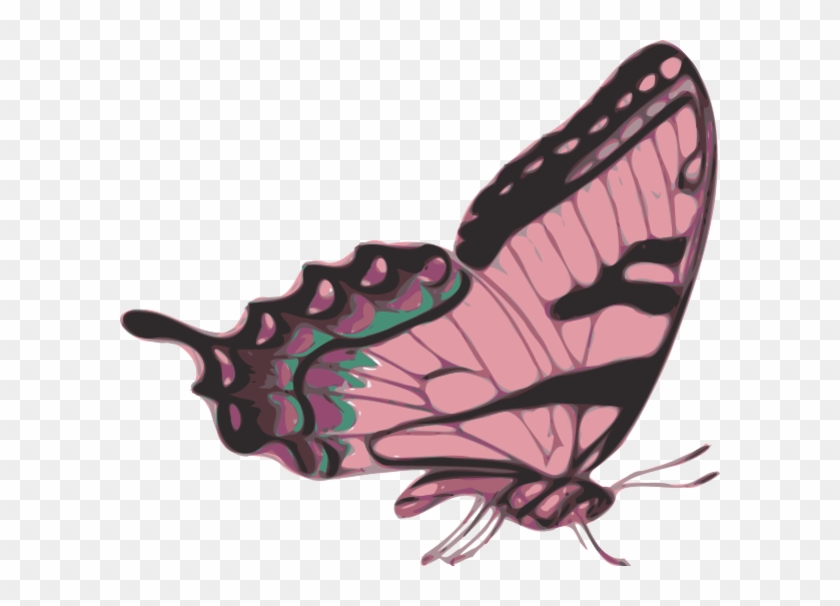  Purple Butterfly Side View #792386
