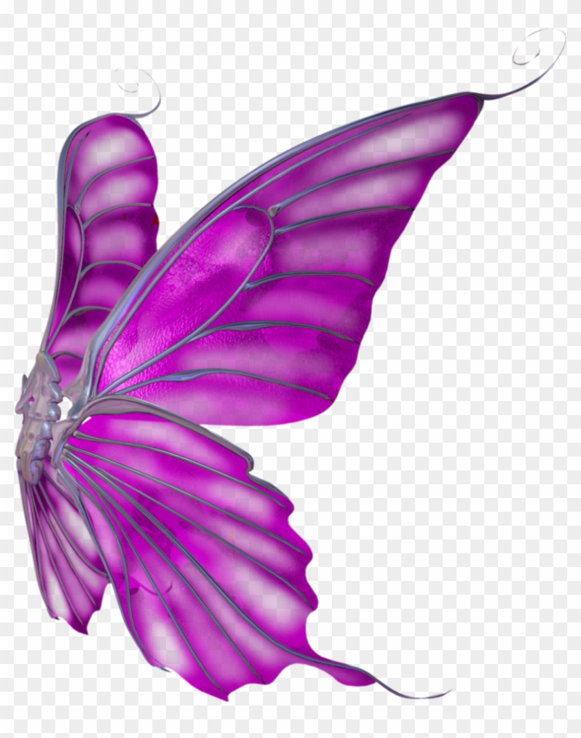 Side View Butterfly Stock Photos And Images Alamycom - Free To Be Me Journal: Succeed: Level 3 #792398