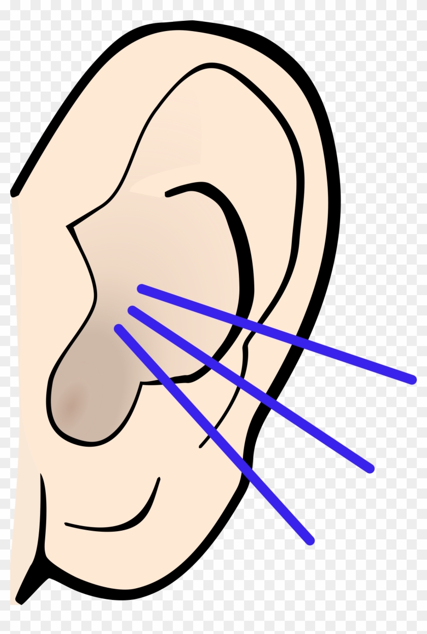 Hearing Clip Art - Hearing Clip Art #792838