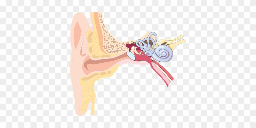 Generally, Hearing Loss Is Considered A Scheduled Member - Ear #792867
