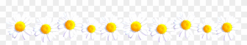 Image - Sunflower #793435