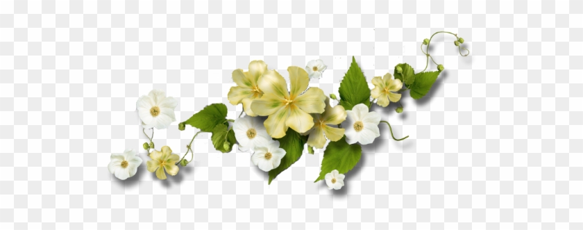 Flowery Dividers - سكرابز ورود للتصميم #793497