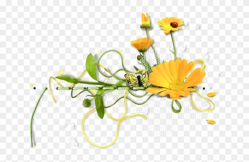 Tubes Fleurs Png - Bonne Journee Oiseaux Gif Anime #793498